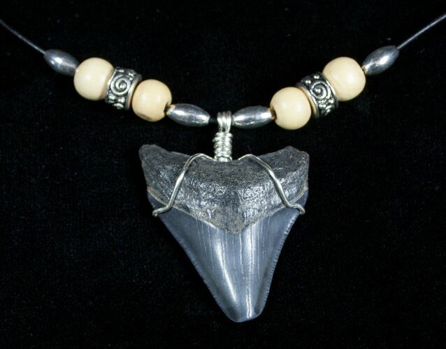 Megalodon Tooth Necklace #3890